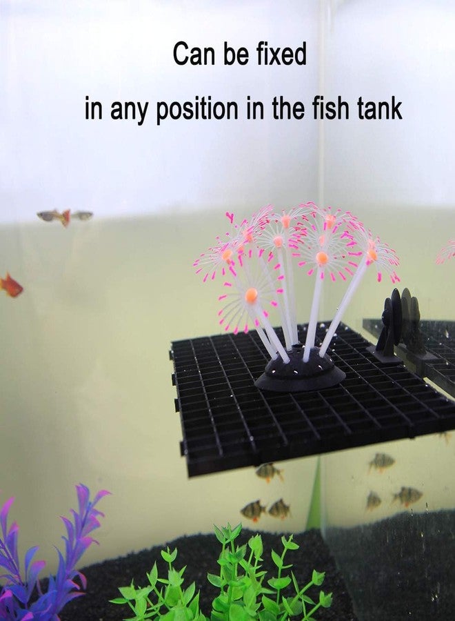 VAYINATO® Black (2 Pcs Egg Crate & 2 Pcs Divider Clip) Divider Grid Divider Tray Egg Crate Aquarium Fish Tank Filter Bottom Isolation Board (Size : 30 * 15cm | by Petzlifeworld - Image 5